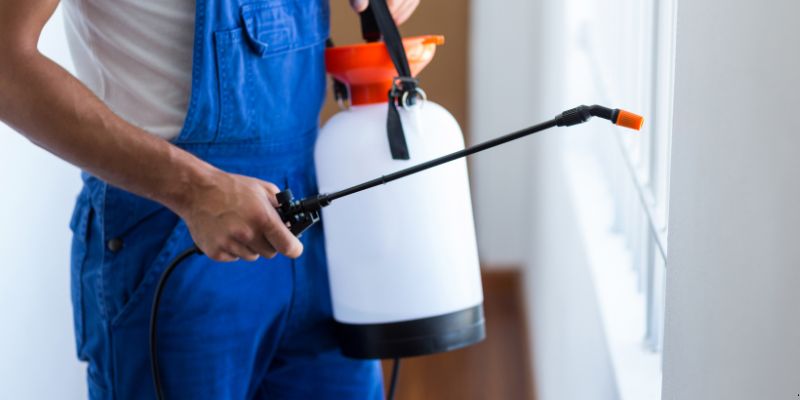 Como fazer dedetização em casa em Jaboatão dos Guararapes