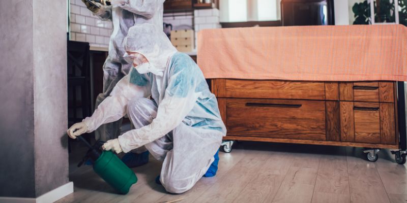 Dedetização em Apartamento Como Funciona em Jaboatão dos Guararapes: Confira 4 Passos