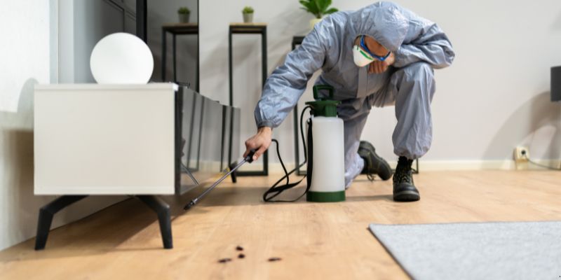Quanto tempo dura uma dedetização em Jaboatão dos Guararapes?